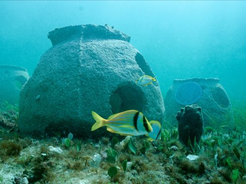 corales cementerio mar